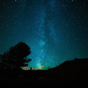 亚洲熟妇妇毛耸耸XXⅩxⅩHb
