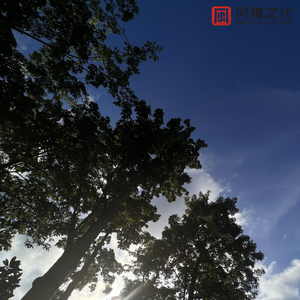 亚洲熟妇妇毛耸耸XXⅩxⅩHb
