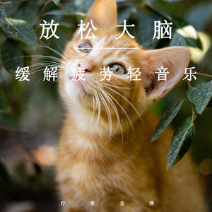 亚洲熟妇妇毛耸耸XXⅩxⅩHb
